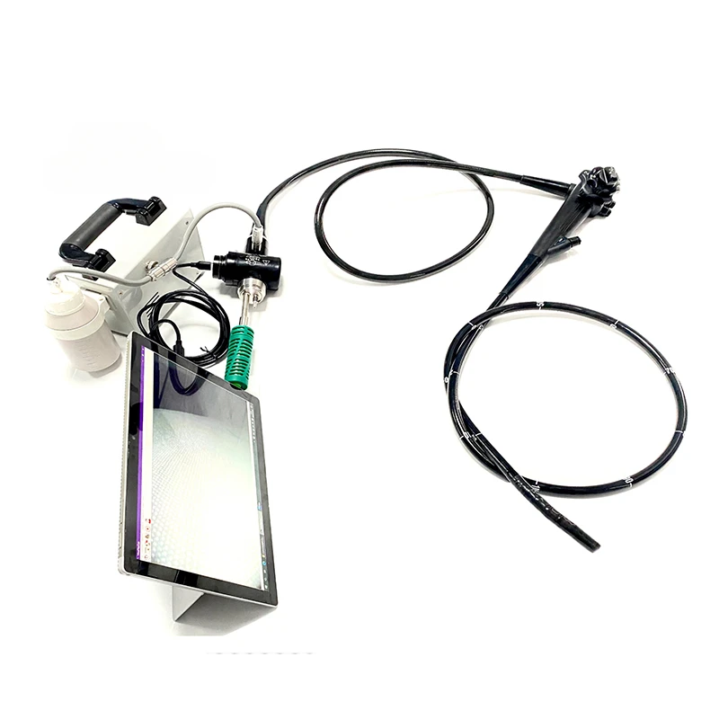 Veterinary Video Flexible Ureteroscopy Veterinary Equipment Flexible Ureteroscopy Veterinary Hospital