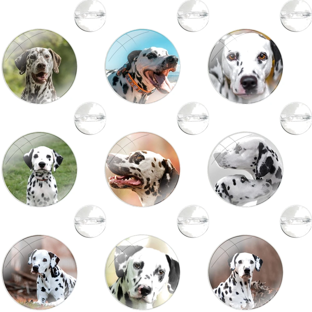 Pins Badge Metal Brooches For Clothes Backpack Decoration gift Animal Dalmatians