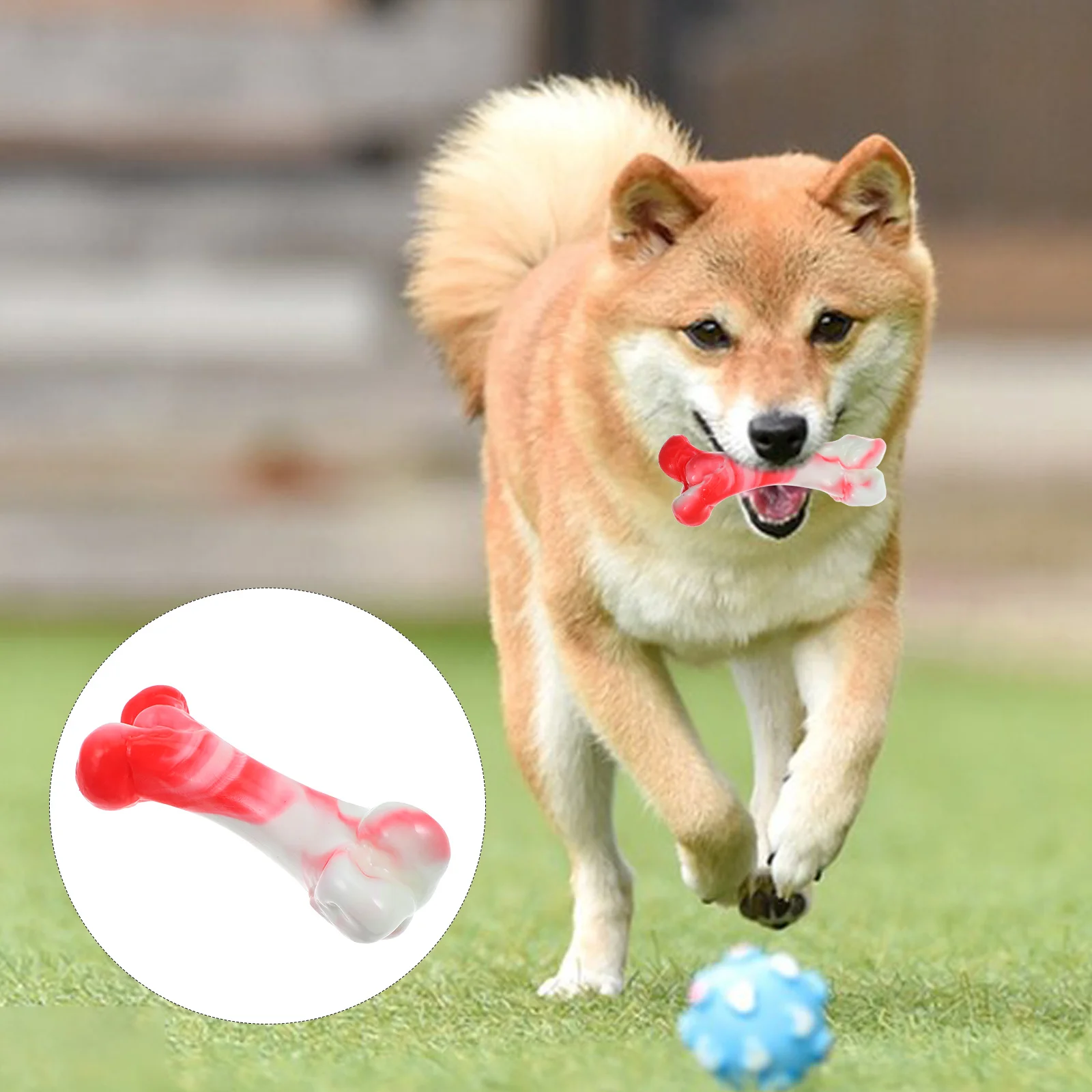 

Dog Teething Accessory Bones Puppy Plaything Chew Small for Puppies