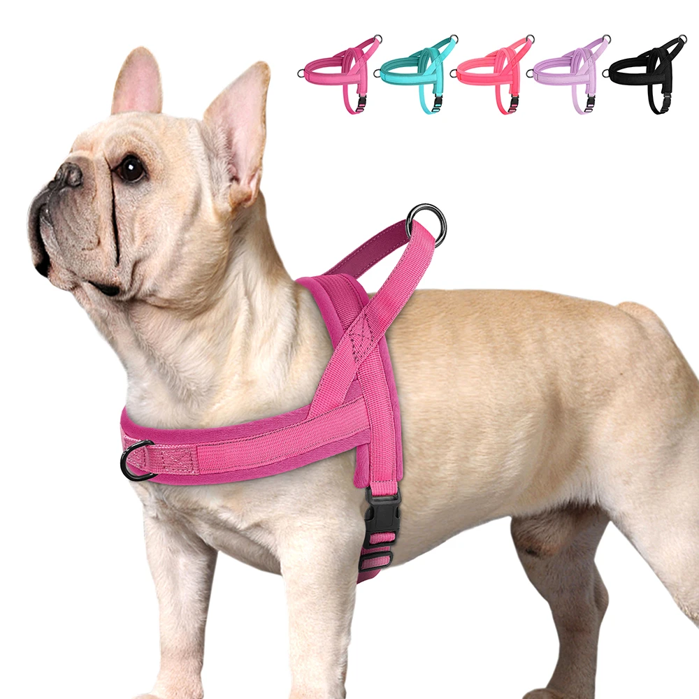 Padded No-Pull Vest Harness (Small Dogs)