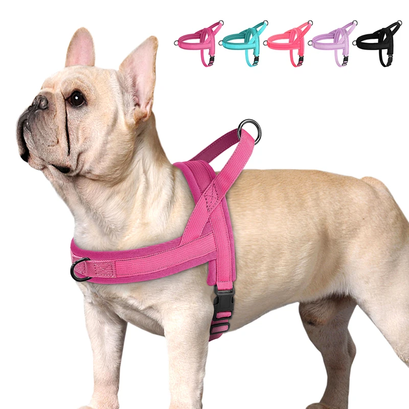 Padded No-Pull Vest Harness (Small Dogs)