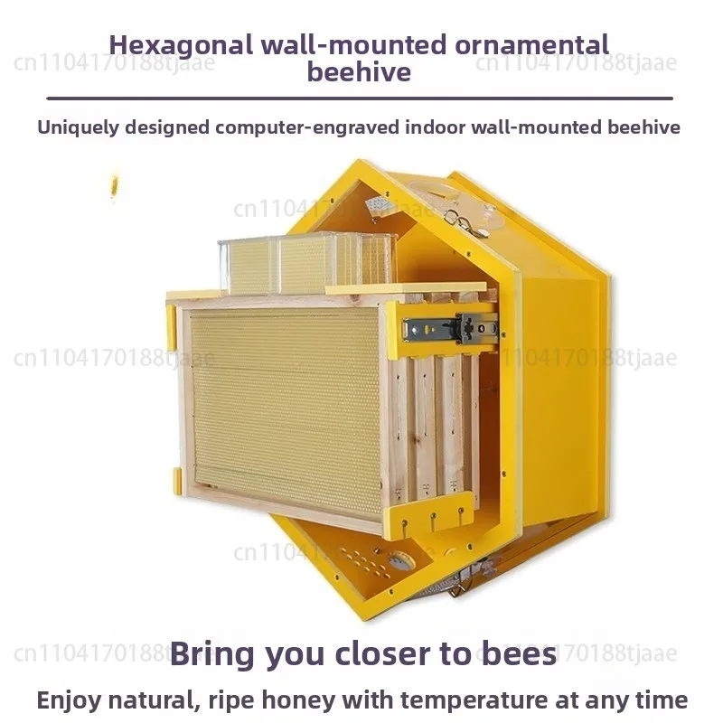 Colmeia de parede equipamento de apicultura interna