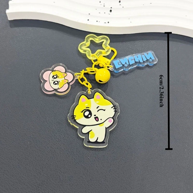 Q Version ENHYPENED Cartoon Fan Merch Acrylic Keychain Double-Side HD Print Lightweight Bag Custom Character Support Key Gift view 6