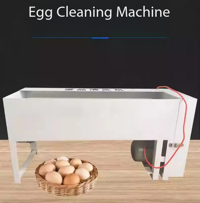 Fully automatic and efficient egg washing machine, commercial small stainless steel egg cleaning equipment