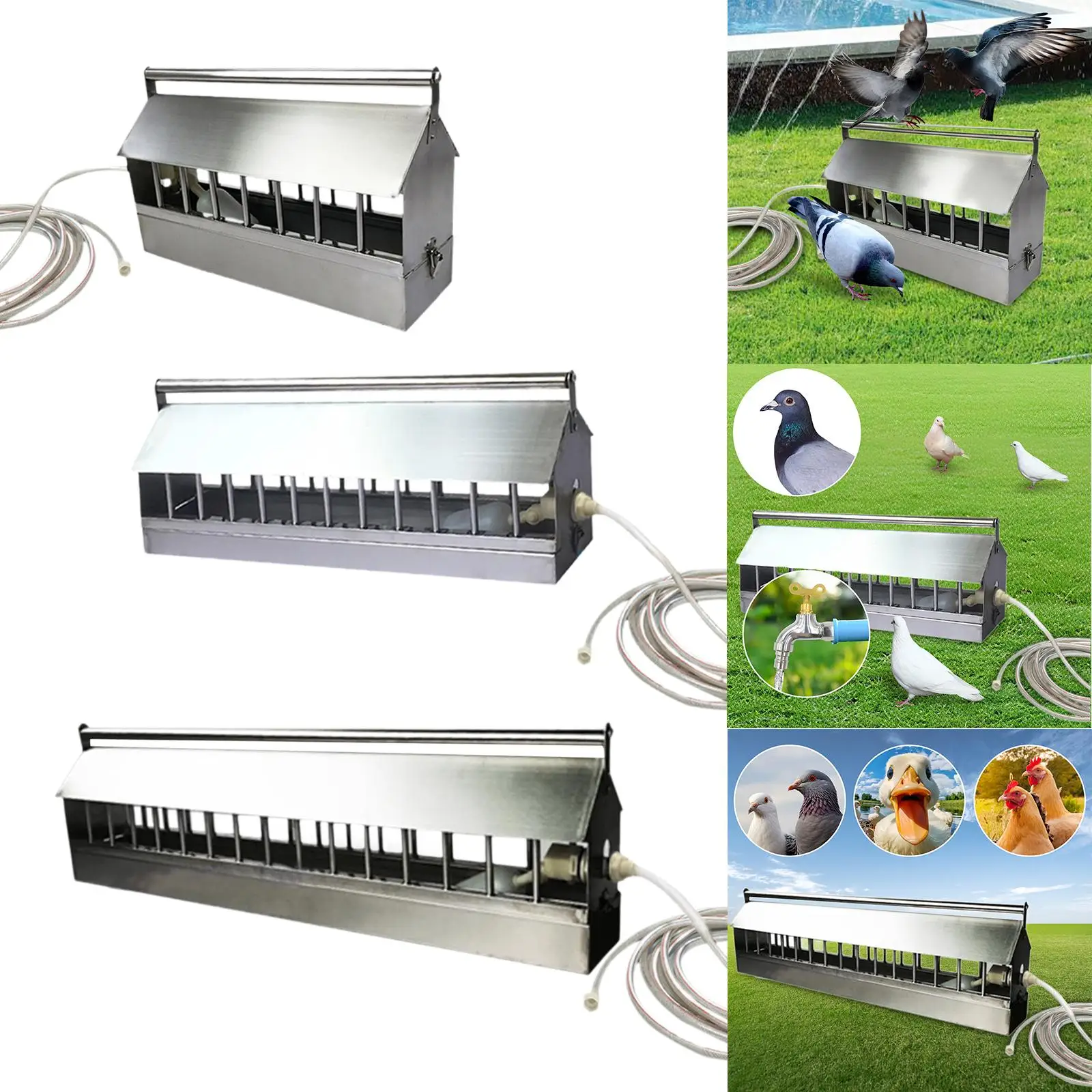 Multi Port Water Dispenser for Poultry Including Turkeys And Chickens