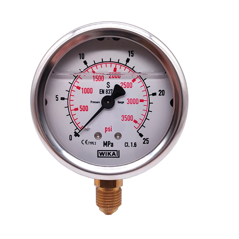 Pressure gauge EN837-1 shock-proof hydraulic pressure oil gauge 213.53 pressure gauge of old rice blasting machine