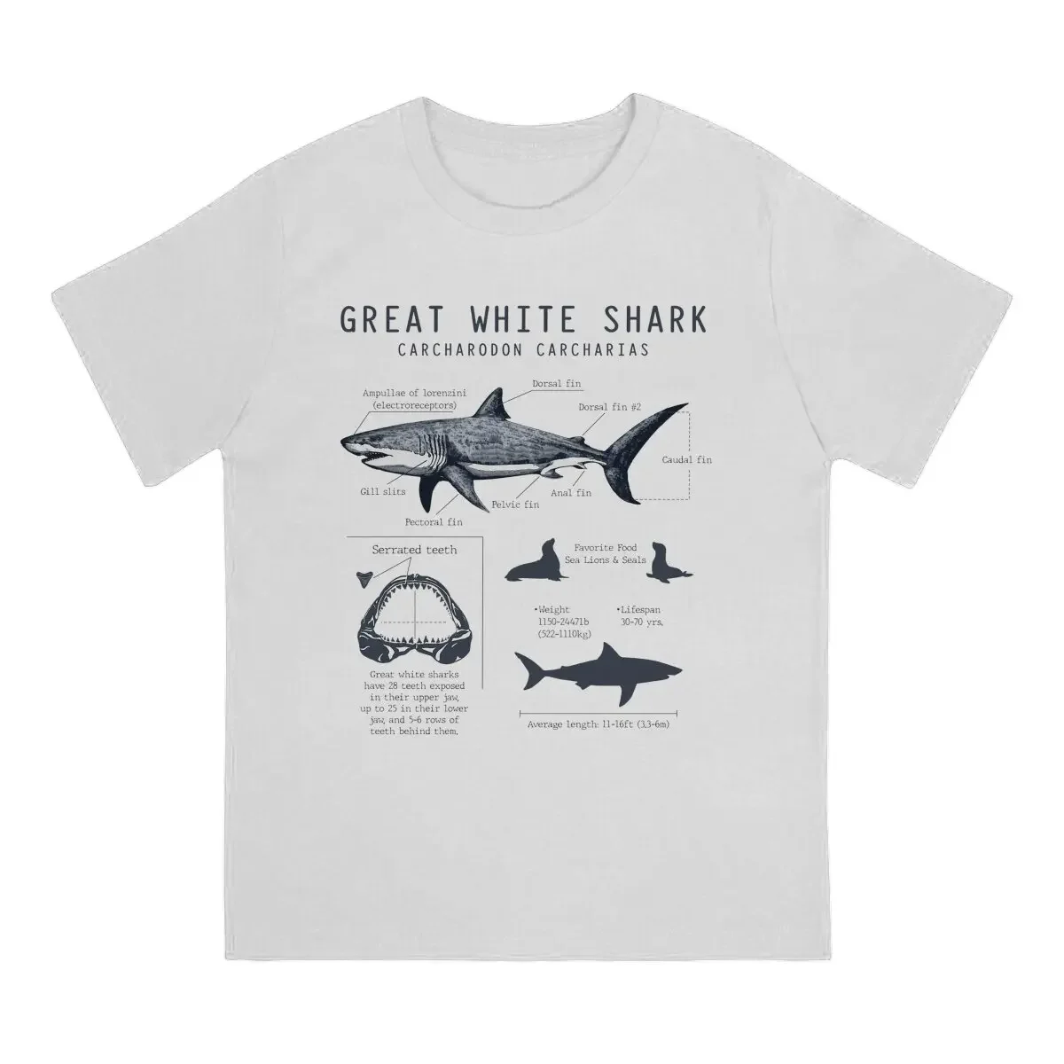 Summer Unisex T-shirts Vintage Sea Animals Great White Shark Anatomy, Marine Biology Biologist Summer top Street Clothing