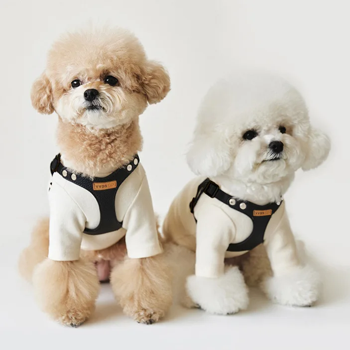 INS Leather PU Small Dog Chest Harness Set Sturdy And Durable Outdoor Dog Walking Leash Bichon Schnauzer Leash Dog Supplies