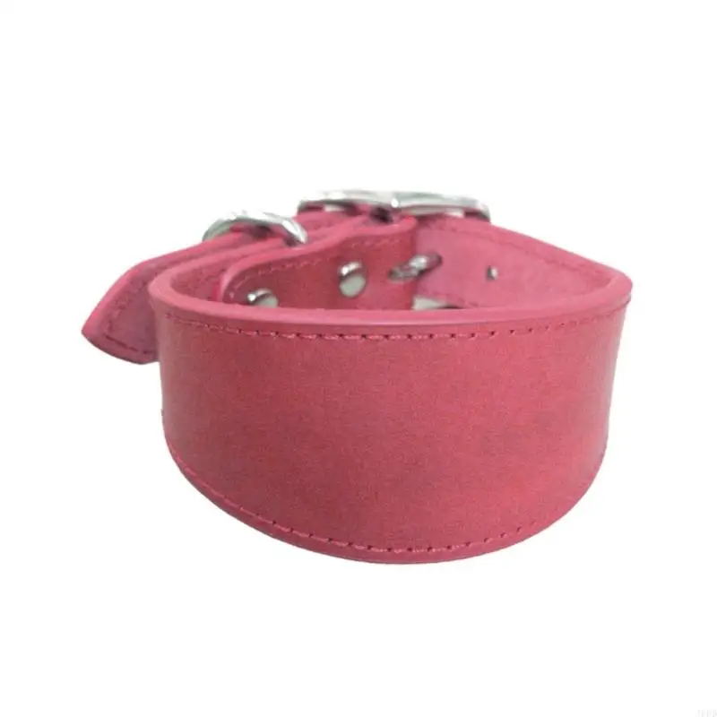 J6PD Lurchers Collar Soft Padding Pet Dogs Collar for Whippets Large Size Dogs Supply