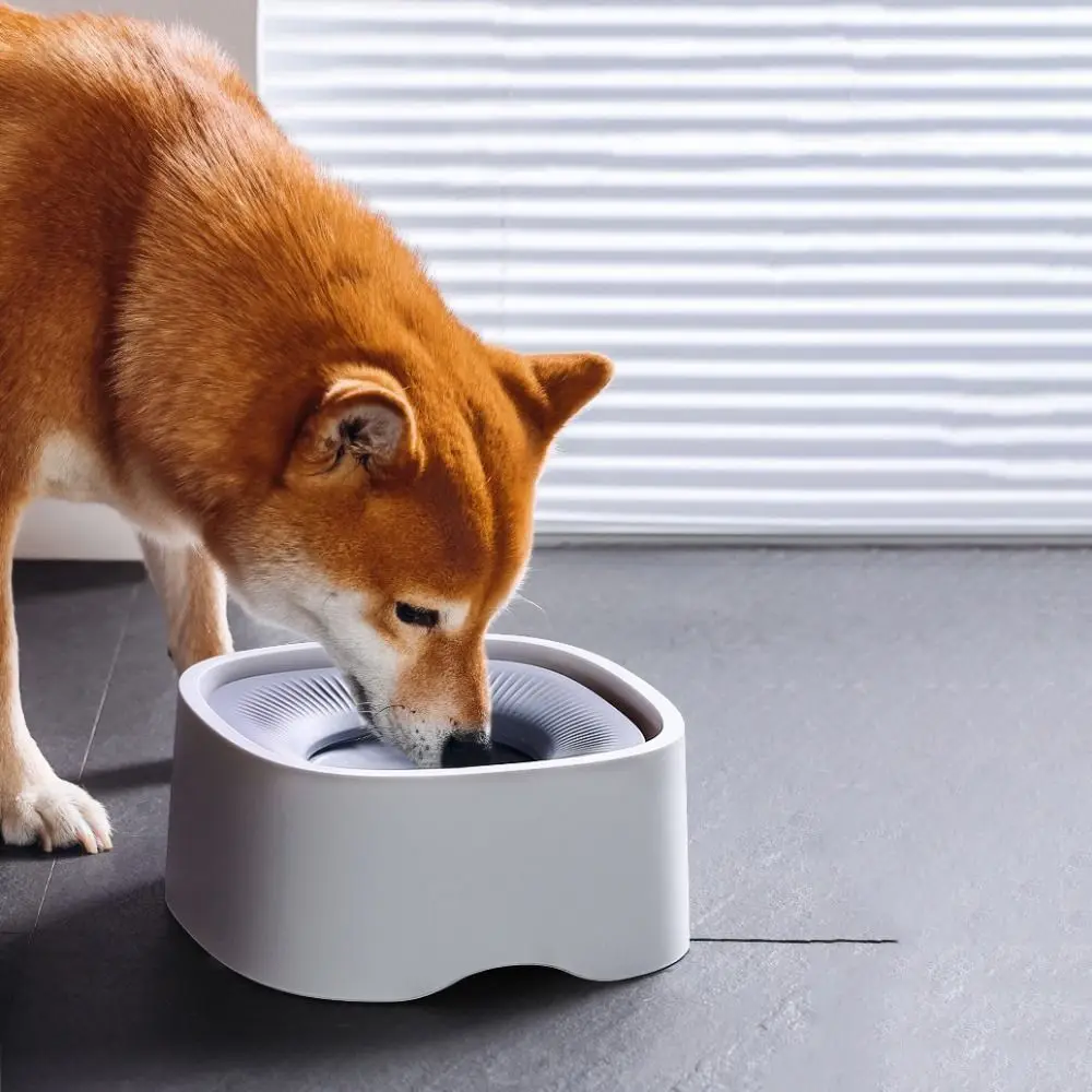 Not Wet Mouth Dog Floating Bowl Anti-Splash Dustproof Cat Water Drinker Plastic 1200ml Pet Water Dispenser Home #3