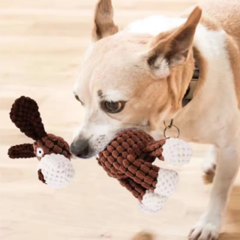 Thumbnail 4 - #48 Best Dog Toys to Buy In 2026