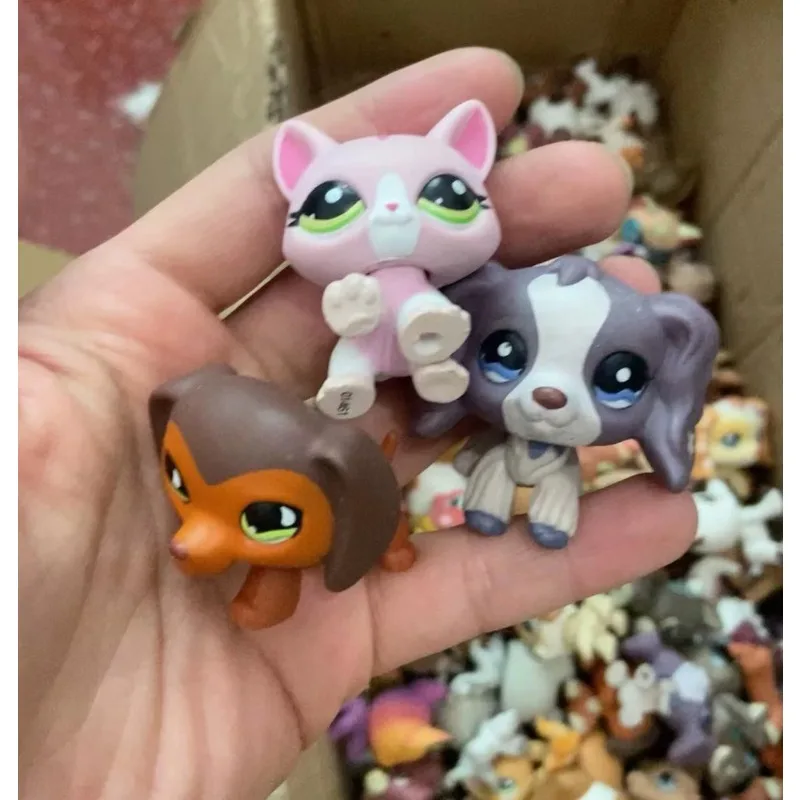 Hasbro Animals Little Pet Shop Action Figure Sheep Puppy Cat Maine Coon Deer Bunny Cartoon Doll DIY Accessories Toy for Kid Gift