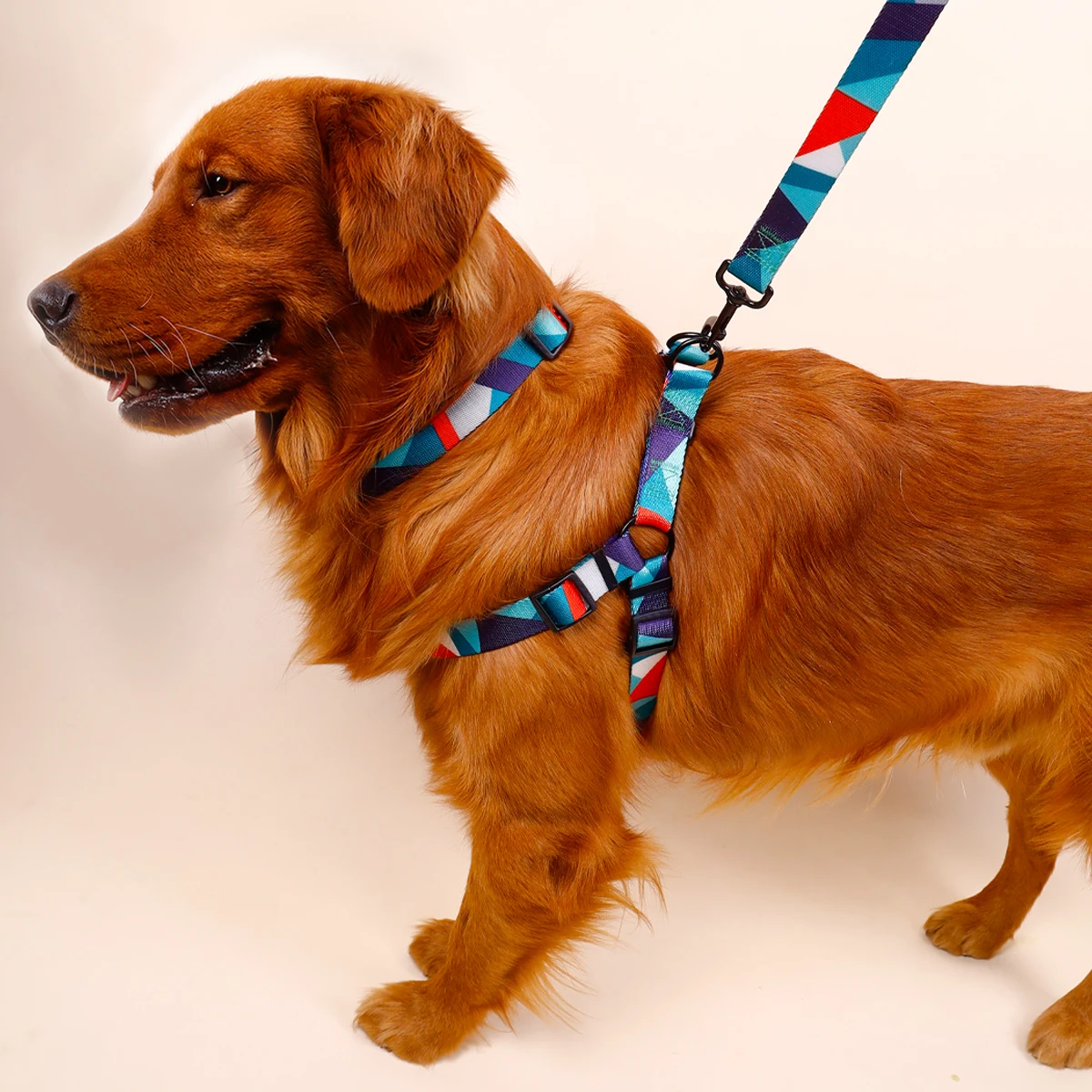 1PC Pet Abstract Chest And harness Set, Dog Webbing Leash, Dog Walking Leash, Dog Collar Three-piece Set