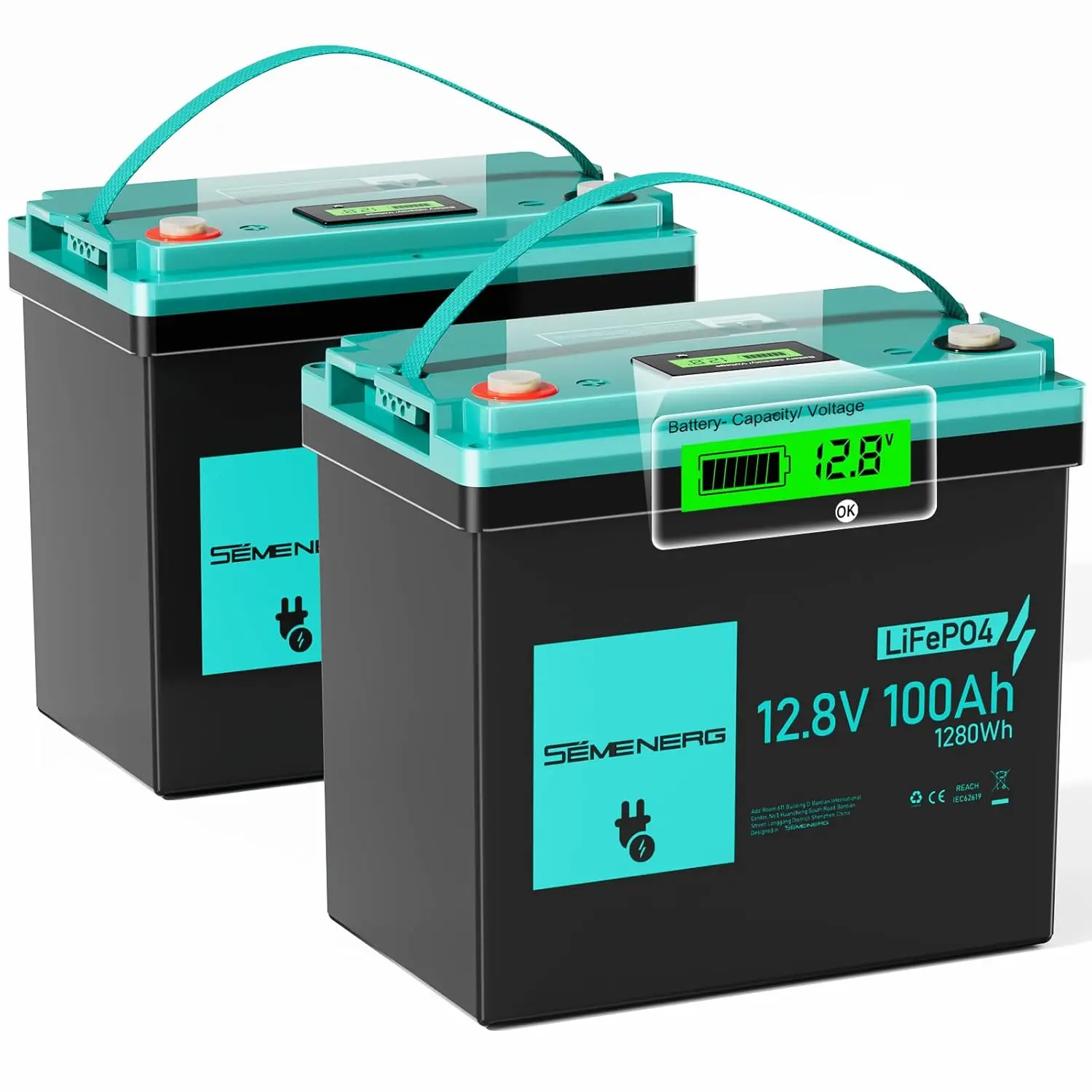 12V 100Ah Mini LiFePO4 Battery Deep Cycle Lithium Built-in 100A BMS 1280Wh Home Energy RV Camping 2Packs, Customized