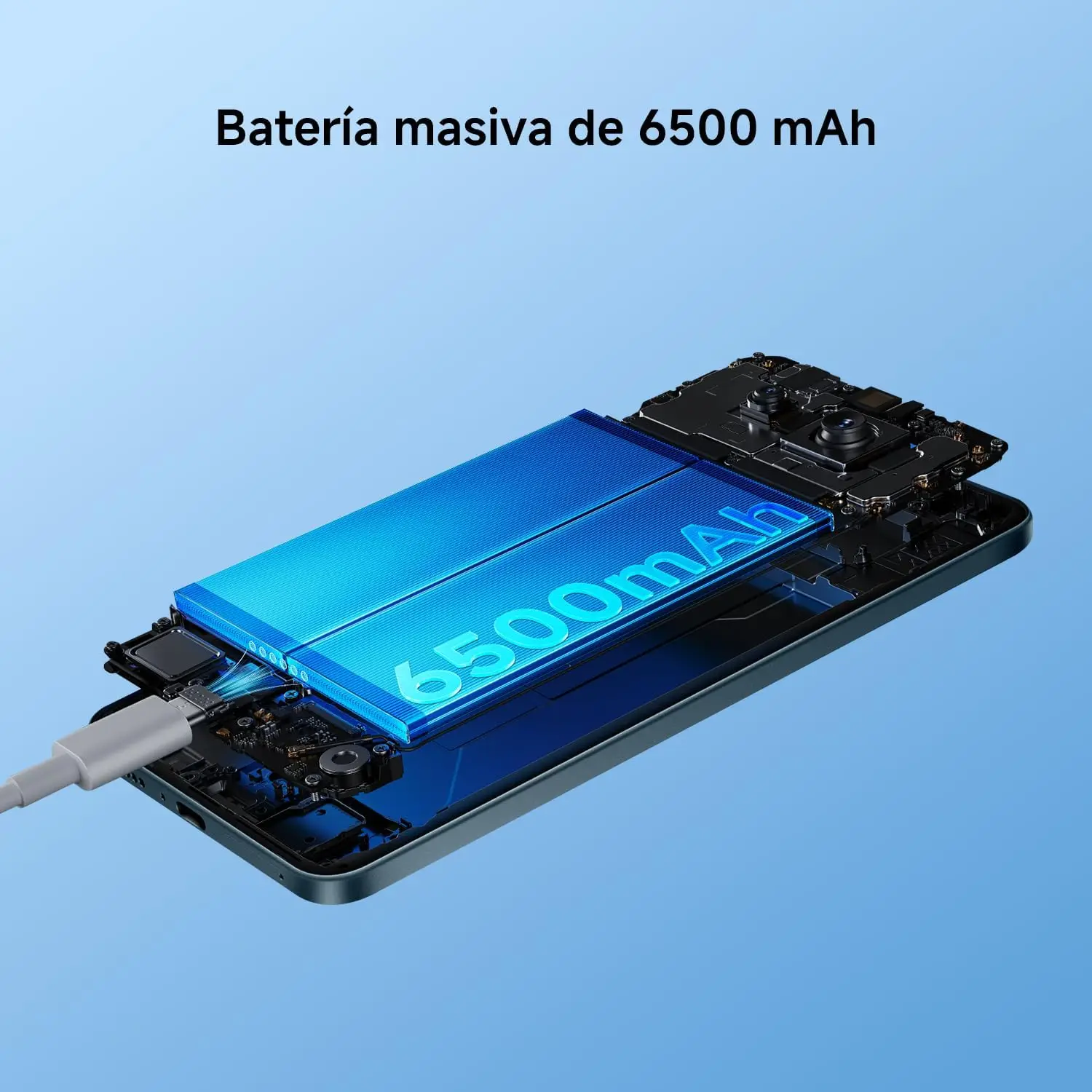 Imagen 5