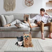 Pet Ice Pad Double-Sided Cooling Mat for Cats Machine Washable Wear Resistant Pad Sleeping Pad for Floor Car Seats Crate Outdoor