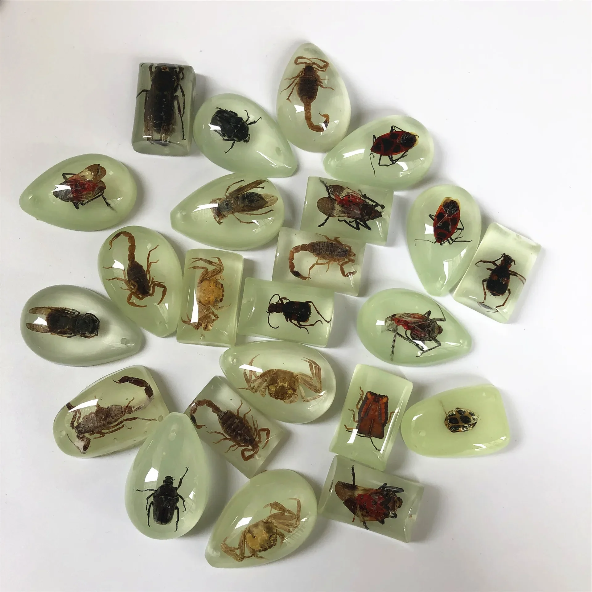 Amber insect specimen delicate resin pendant wholesale of various styles