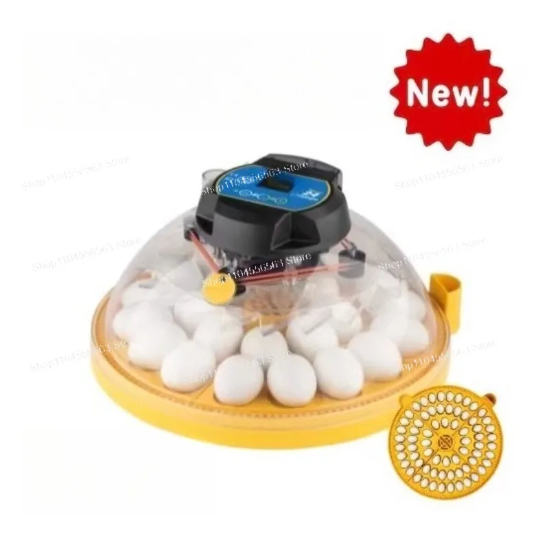 

Маленький инкубатор-тарелка Maxi 24 для попугаев, автоматический инкубатор