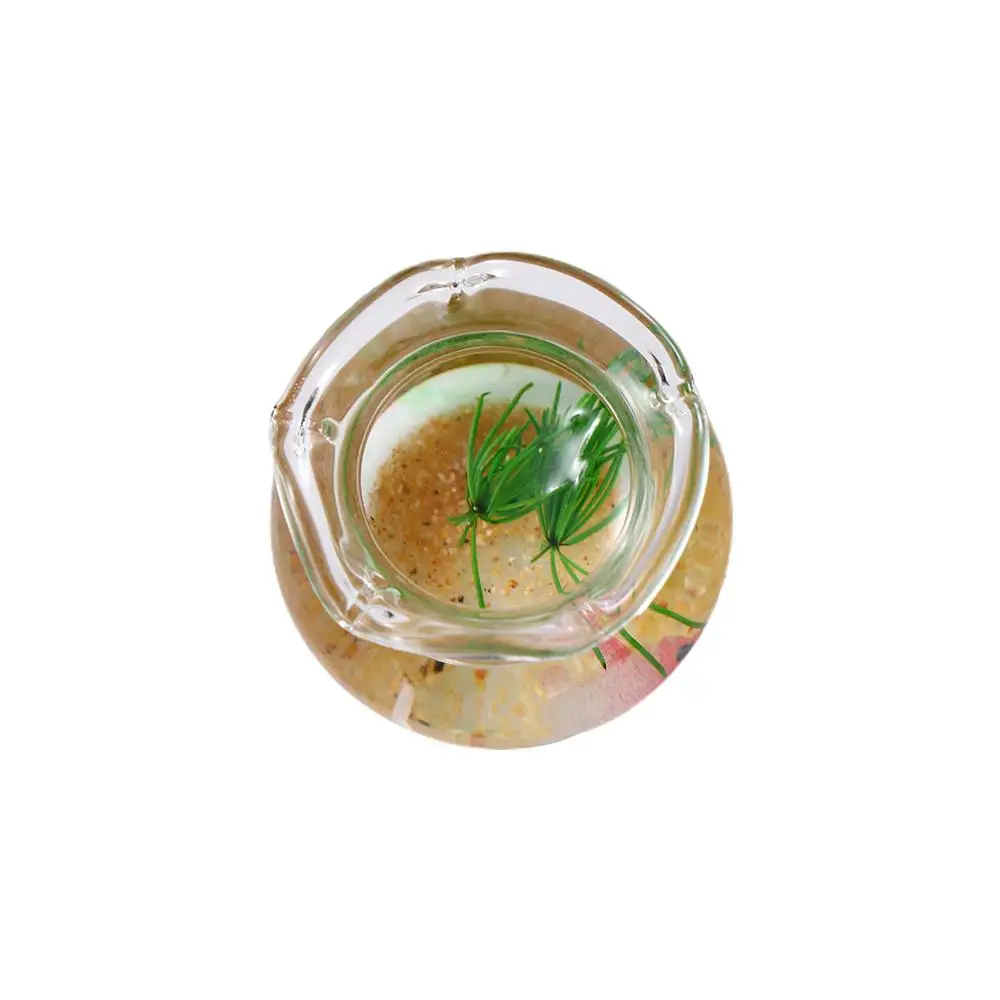Jouet maison de poupée décalcomanies meubles accessoires verre aquarium modèle Miniature bol à poisson Miniature aquarium maison de poupée Miniature
