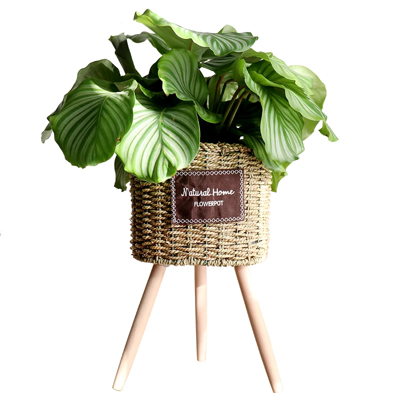 Style Straw Woven Flowerpot Wooden Floor Rattan