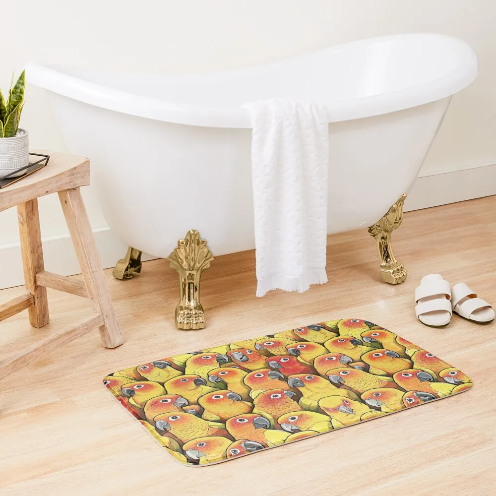 

Sun Conures Bath Mat Non-Slip Shower Front Door Bedroom Carpet Bathroom Foot Mat