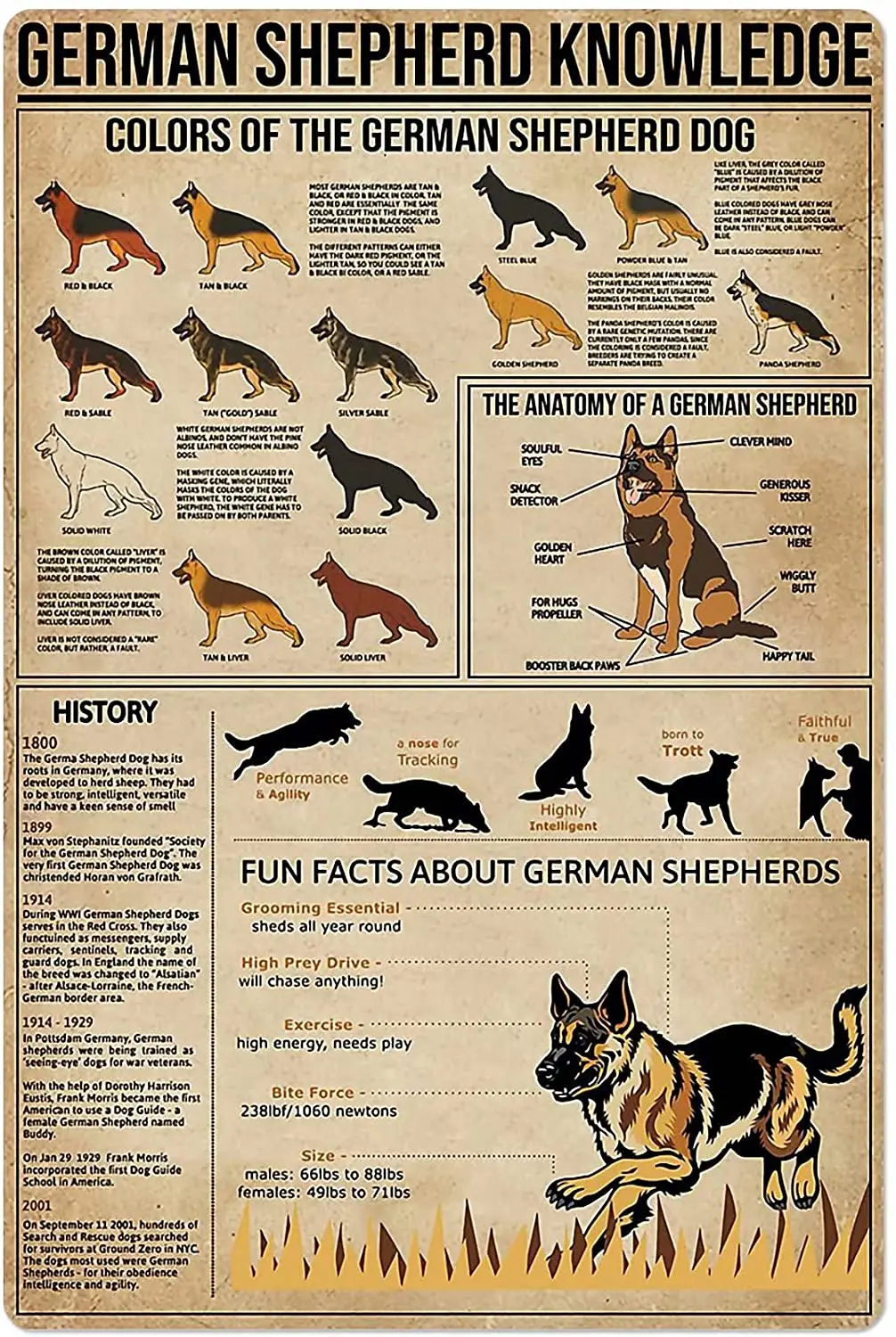 Dog Knowledge Metal Tin Sign German Shepherd Anatomy Color Aluminum Poster Farm School Education Home Kitchen Club Garage