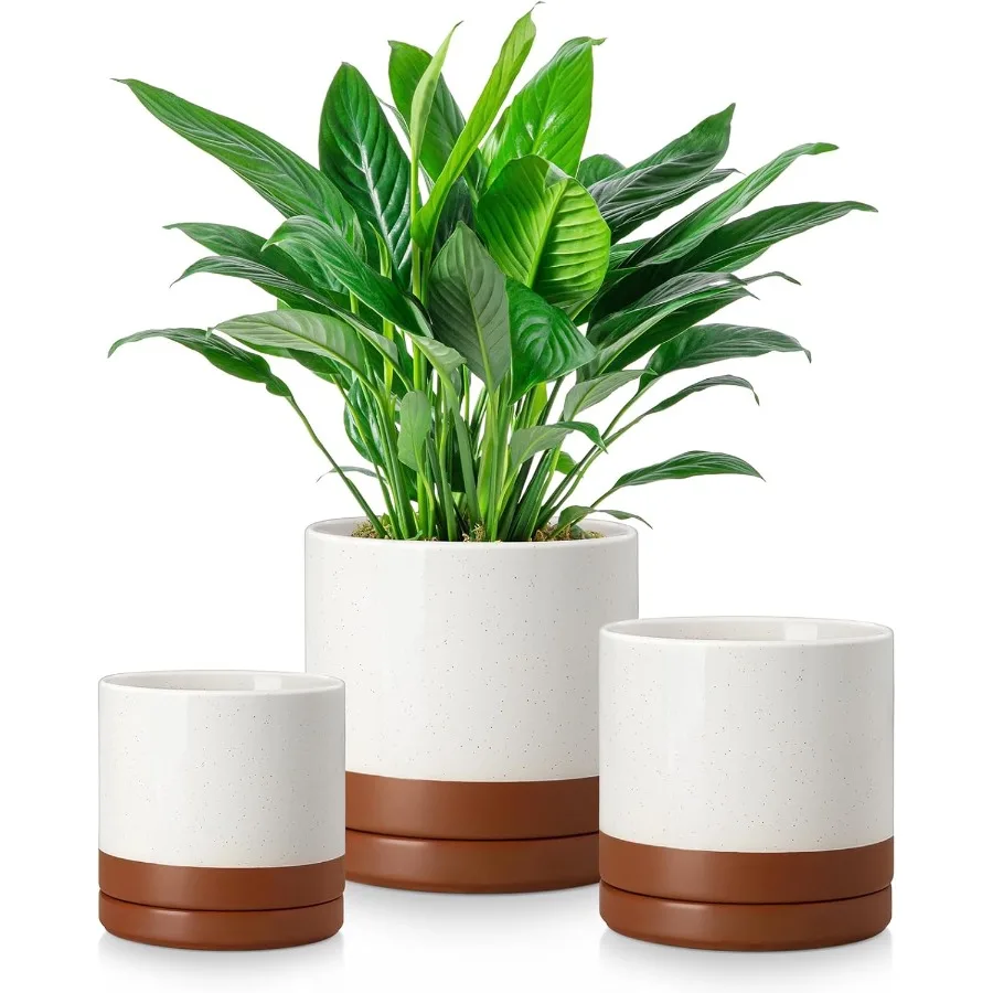 

Ceramic Plant Pots 3 Piece Planters for Indoor Plants 4.25+5.25+6.25 Inch Flower Pots with Drainage Plant Pots Indoor for Succu