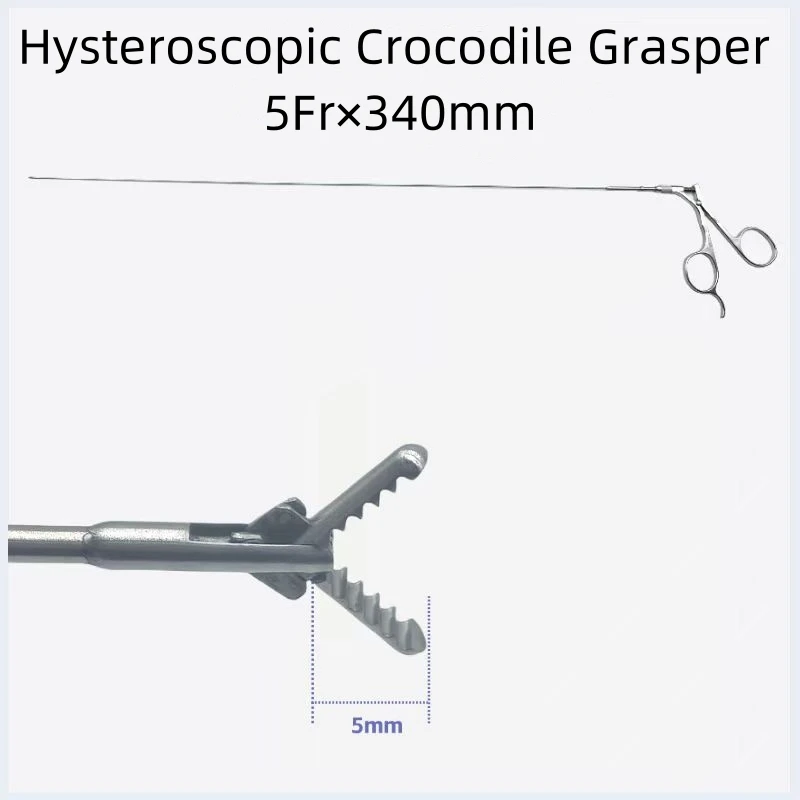 5Fr 엄밀한 악어 집게 자궁경 검사 가위 집게, 부인과 생검 집게 부인과 자궁경 검사 도구