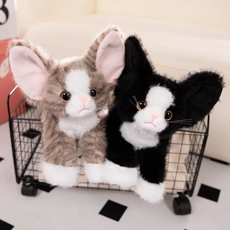 Real Life Cat Plush Toys for Kids, gatinho macio, modelo Devon Rex, animais realistas, decoração do quarto, aniversário, presente de Natal