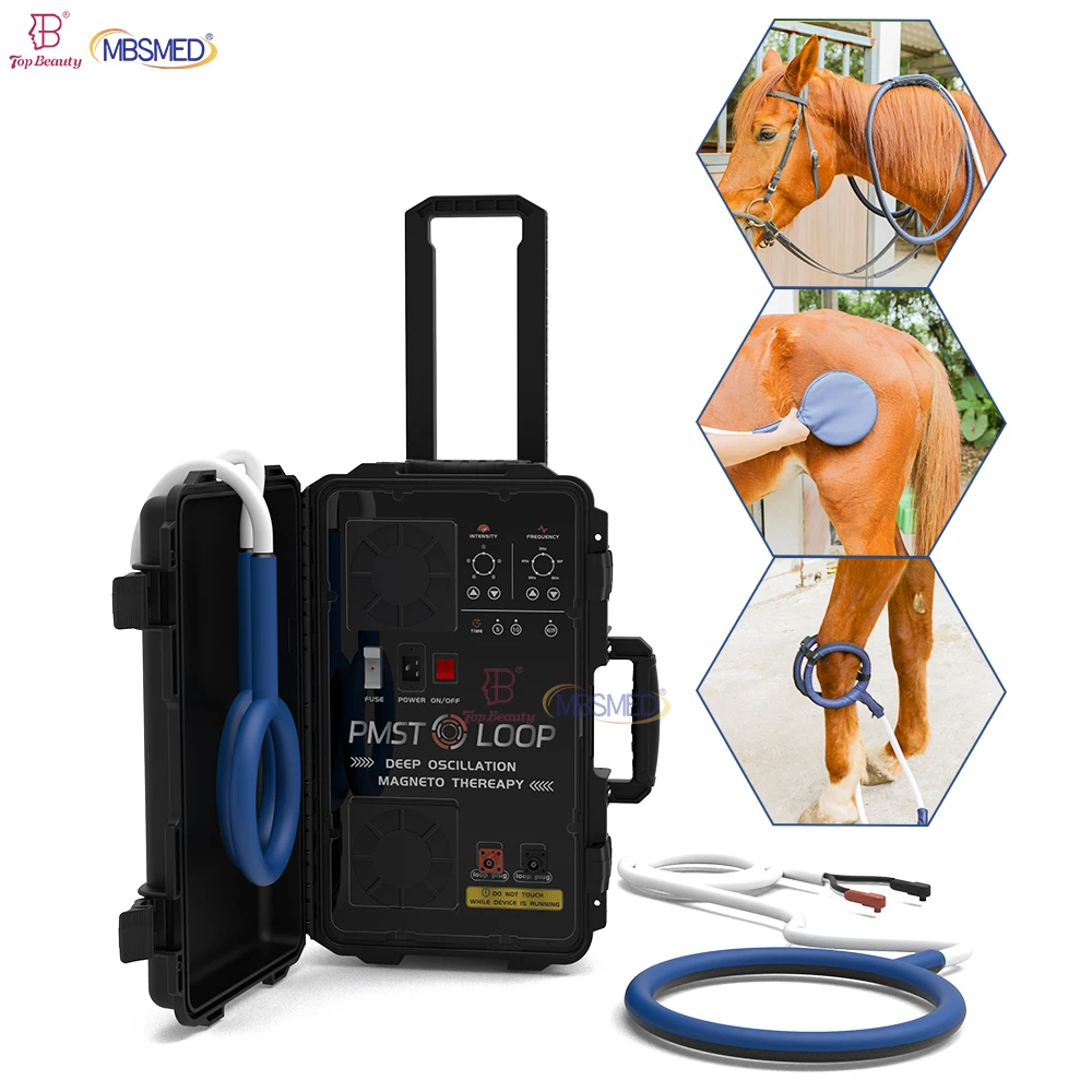 Pulse Magnetic Therapy Racecourse First Choice Physiotherapy Pemf Horse Physical Rehabilitation Magnetotherapy Machine