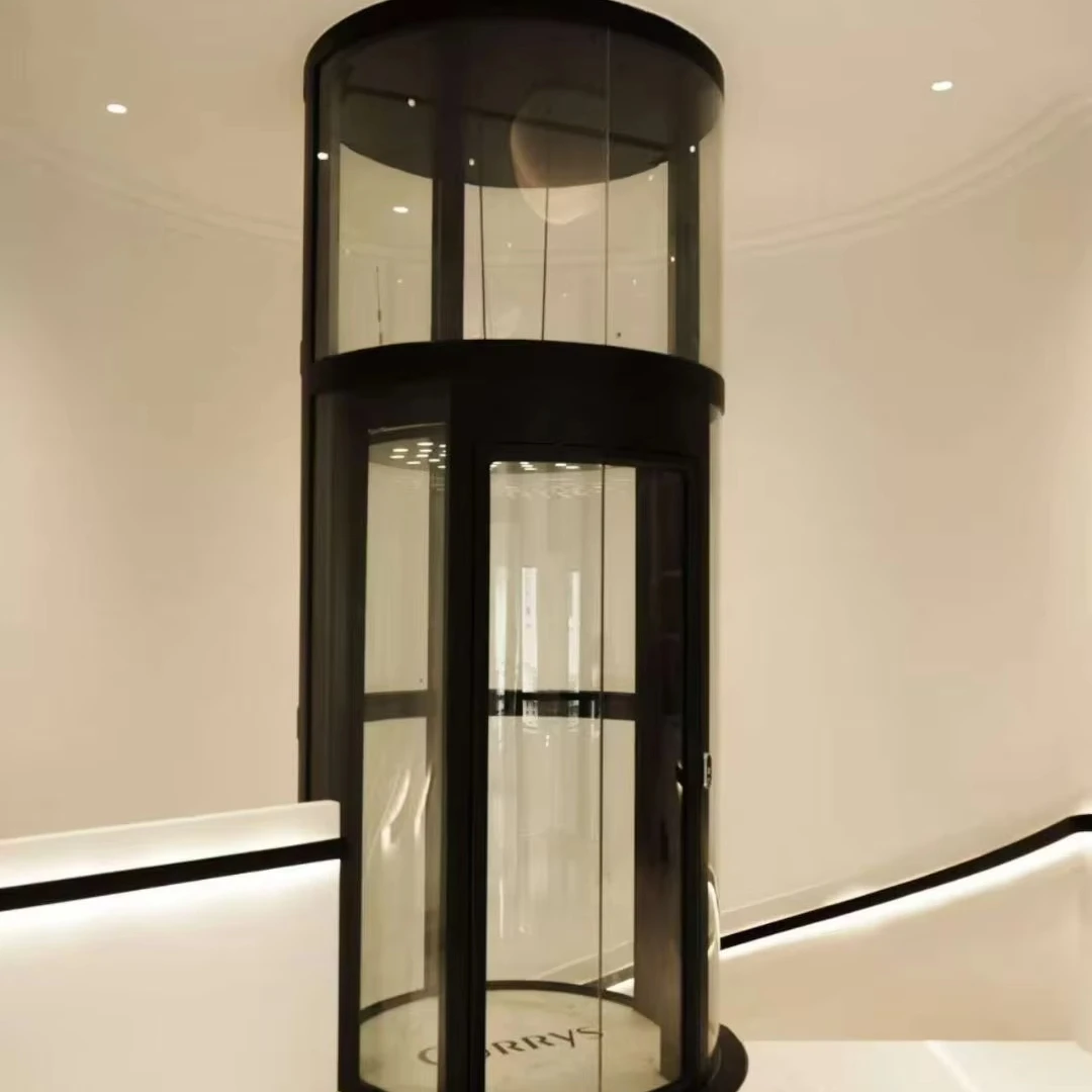Intelligent Control Round Panoramic Home Lift Traction Elevator 320kg 3 Stops 0.4m S Customized for Modern Villa Aesthetic