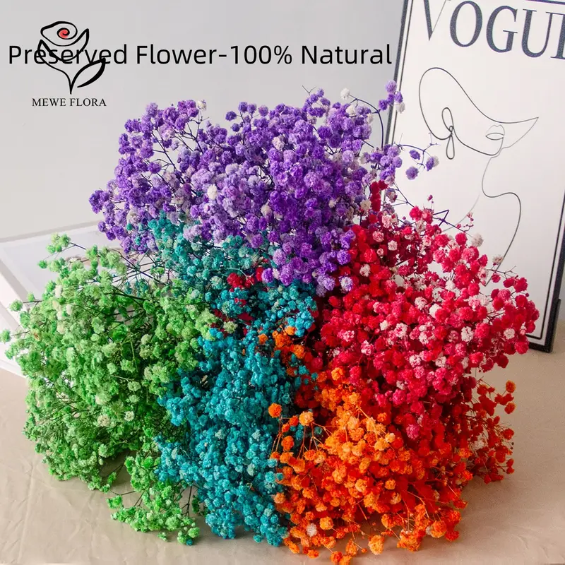 80g Mix Gypsophila Baby Breath Dried Flower Bouquet Boho Wedding Photo Prop Decoration Preserved Gypsophile Home Room Vase Decor - Image 4