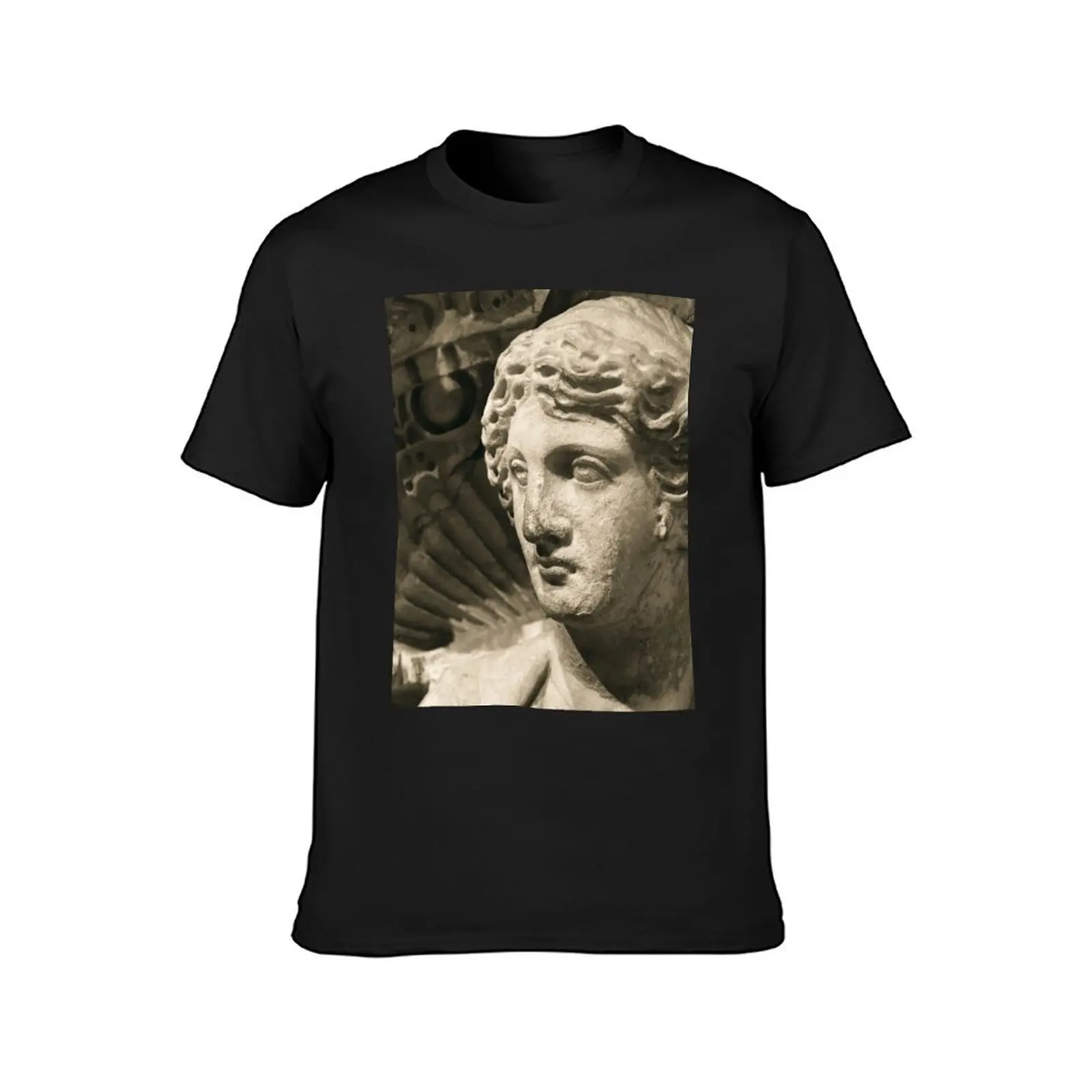 013: Ancient Roman Statue T-Shirt oversizeds summer tops summer top men t shirt