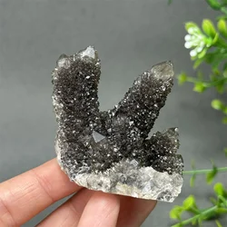 Natural Rare Black Cactus Quartz Mineral Specimen Crystal Cluster Aura Meditation Energy Collection Home Room Decoration Healing