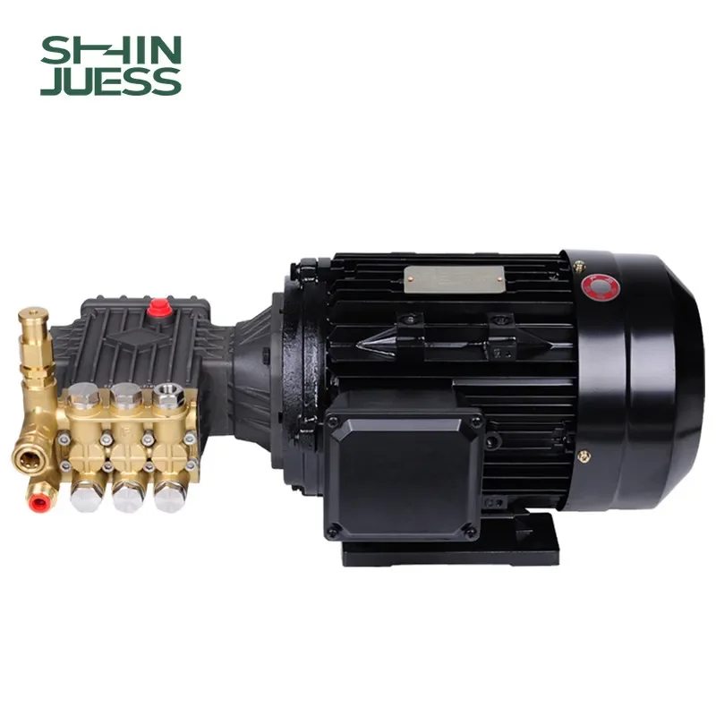 High Pressure Plunger Pump Set For Commercial Car Washing Machine Fog Spray Ship Cleaning 220V 380V Motor Pump Head