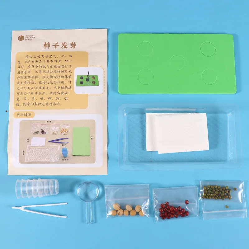 Wissenschaftliches experimentelles Spielzeug, Studententechnologie, kleine Produktion, Erfindungsmaterialien, pädagogisch, DIY, handgefertigt, Samenkeimung und