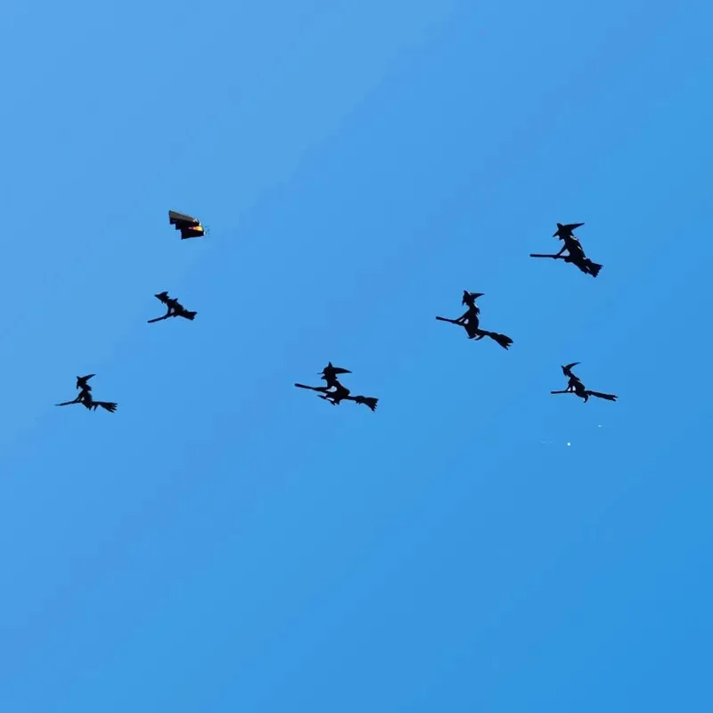 Pipa inflable grande, pipa de bruja voladora, pipa 3d para adultos, juegos gigantes al aire libre, pipa eléctrica, parapente profesional, baile, calamar