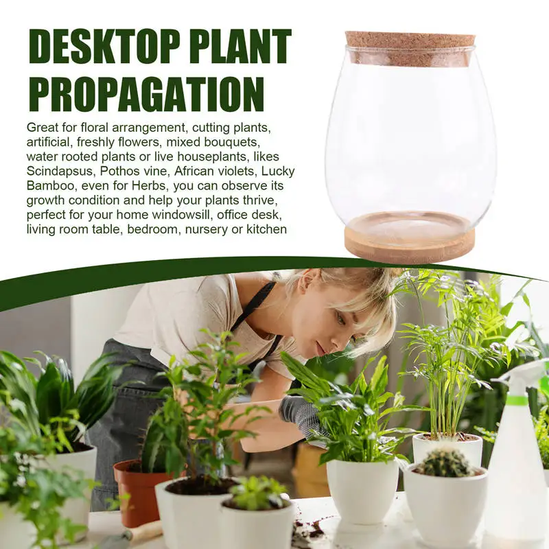 Plants Propagation Stations, 2 Pcs Separated Desktop Plant Terrarium with Wooden Tray & Lid for Propagating Hydroponic-A14I