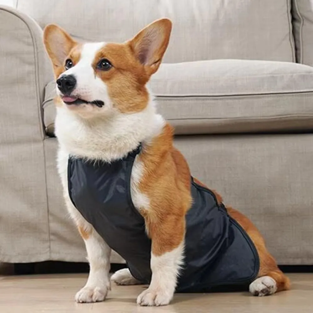 

Waterproof Pet Dog Bellyband Clothes Breathable Anti-dirty Dog Protective Belly Cover Windproof Dog Costume
