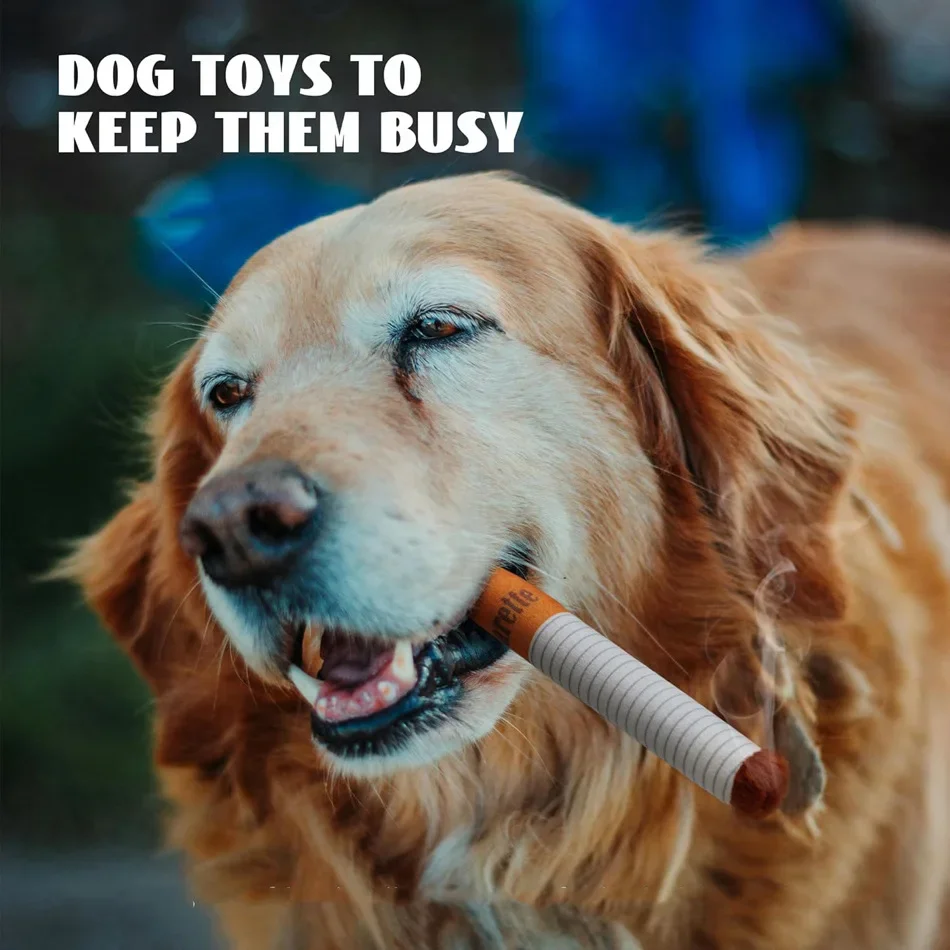Novelty Cigarette Pack Plush Dog Toy – Squeaky Set