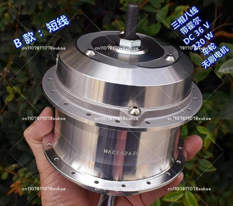 Electric Assist, Mountain Bike, Brushless Wheel Motor, One-way Clutch, Gear Reduction