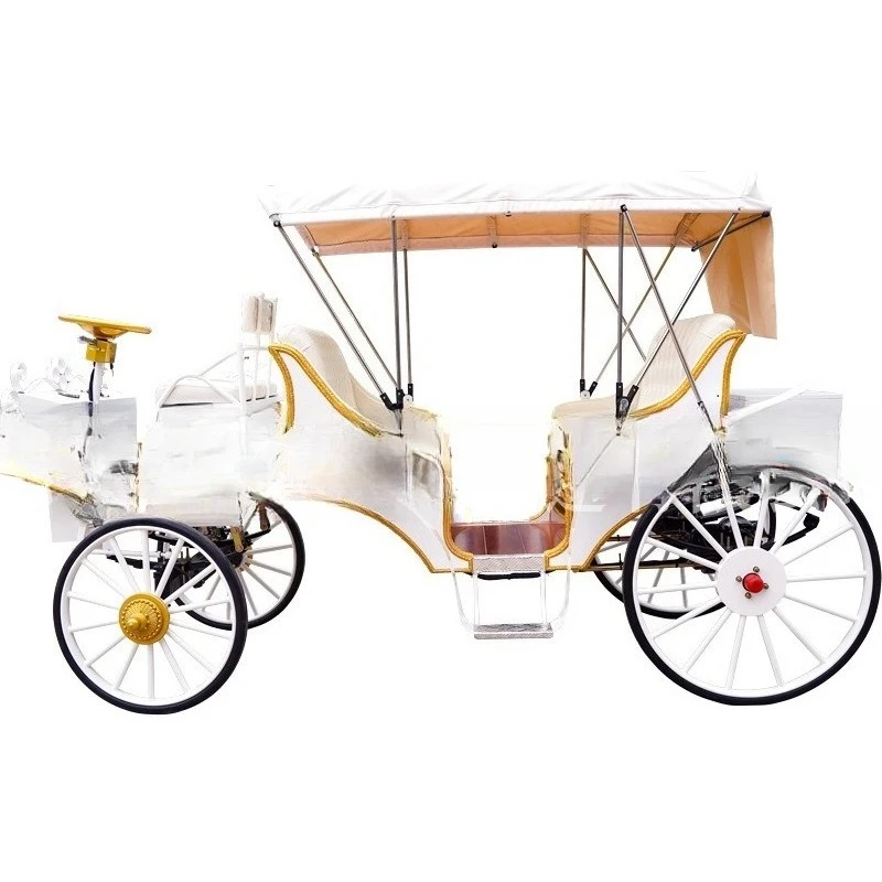 Sightseeing carriage wedding reception, pumpkin carriage photography props