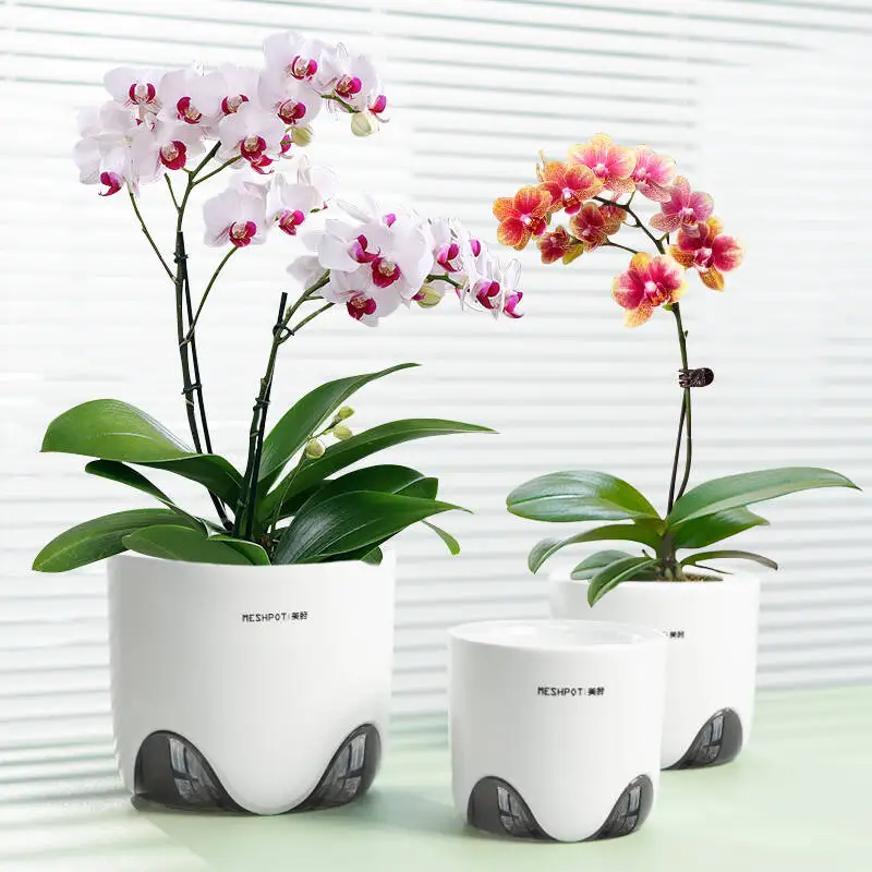 Meshpot  4/5/6 Inch Clear Orchid Pot With Holes Plastic Flower Pot Garden Planter,Excellent Drainage,Good Airflow Home Decor