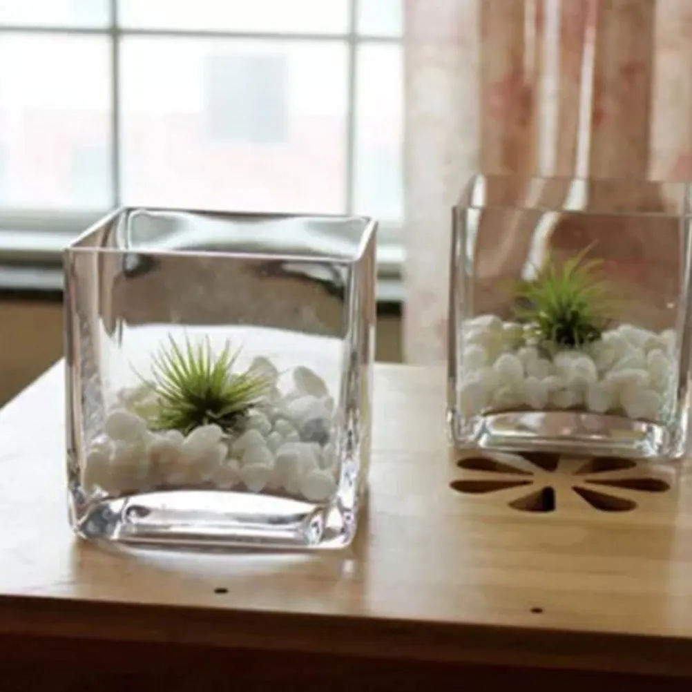 

Glass Flower Cube Vase Modern Style Desktop Succulent Pots Decorative Flower Vase Clear Glass Planter for Home Office Table