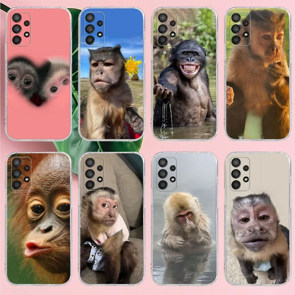 Monkey Sipping Capri Meme Funda Phone Case For Samsung Galaxy A52 A12 A51 S21 Edge S22ULTRA S23 S20LITE Plus Ultra Cover