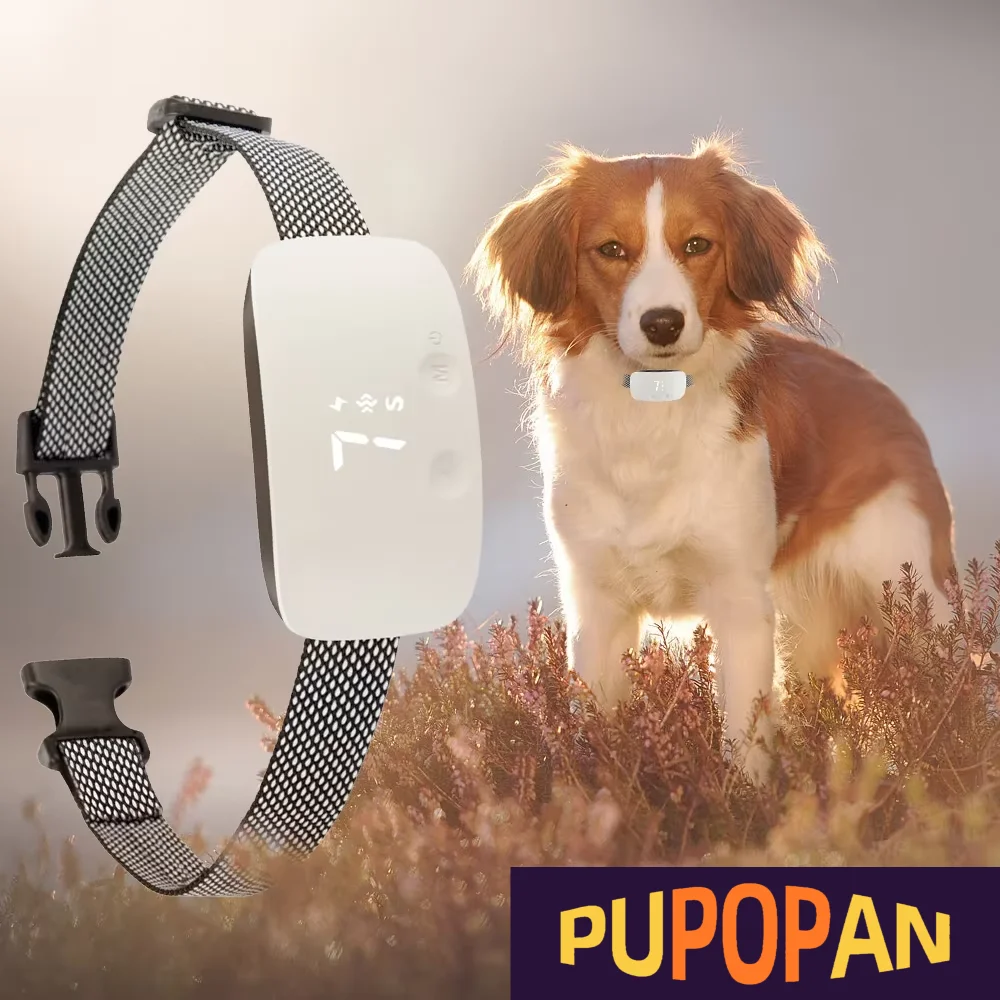 Collier intelligent anti-aboiement pour chien, collier d'entraînement automatique avec 3 modes, son, vibration, choc