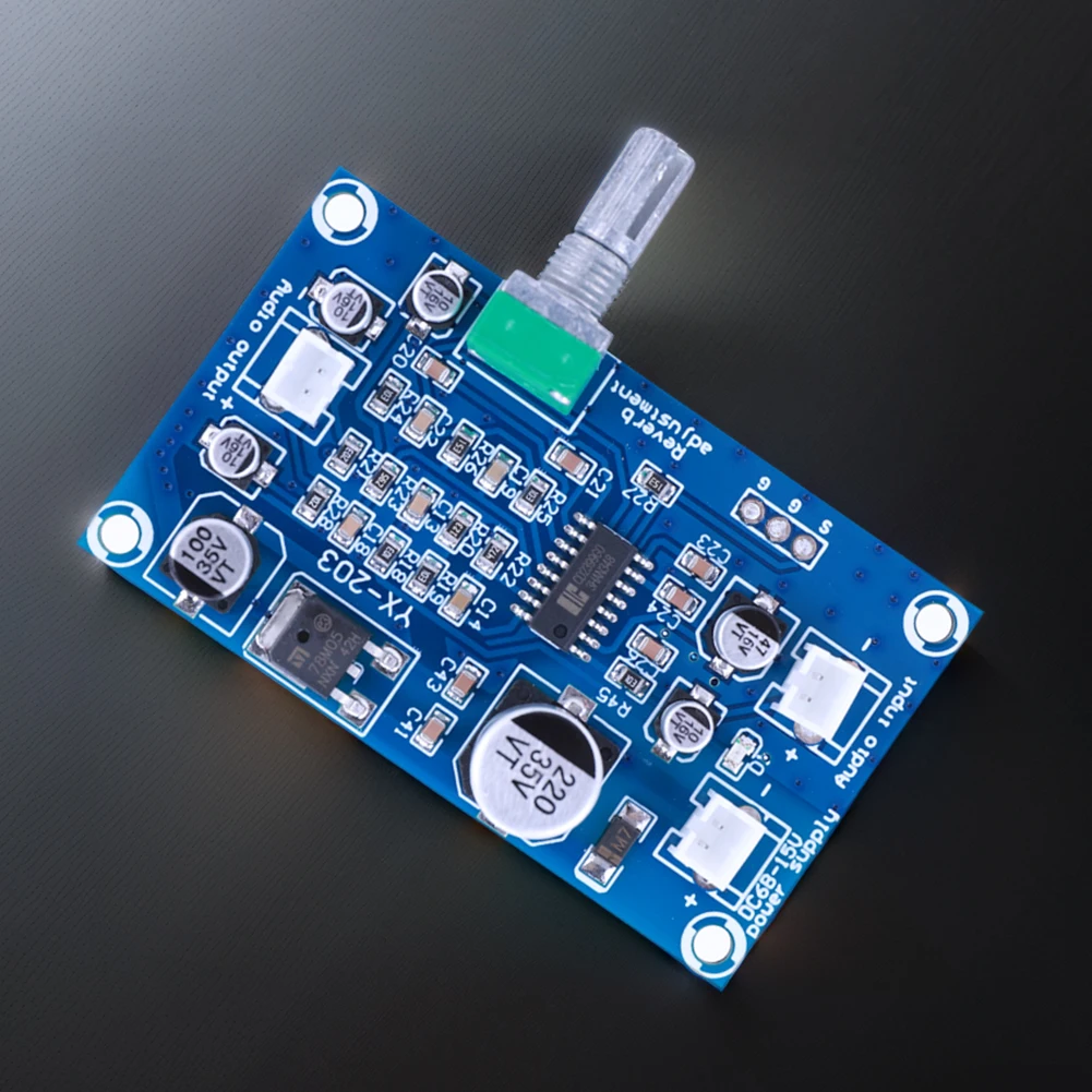 PT2399 Microphone R…