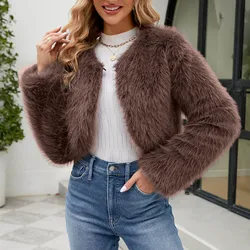 Faux Fur Coat Long Sleeve Thick Warm Jacket For Women 2023 Autumn Winter Lady High Street Solid Color Loose Hairy Short Outwear