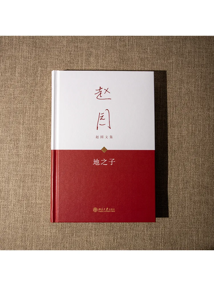 Livro-Winshare Filho da Terra