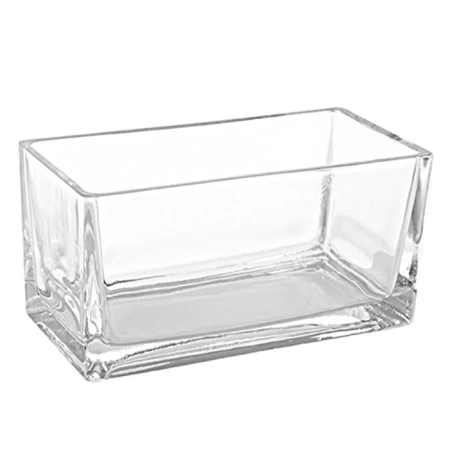 7.8 inch Modern Rectangular Glass Vase, Trough Planter, Tabletop Glass Terrarium